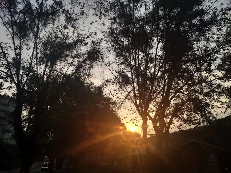 Roof inspection in Jacksonville