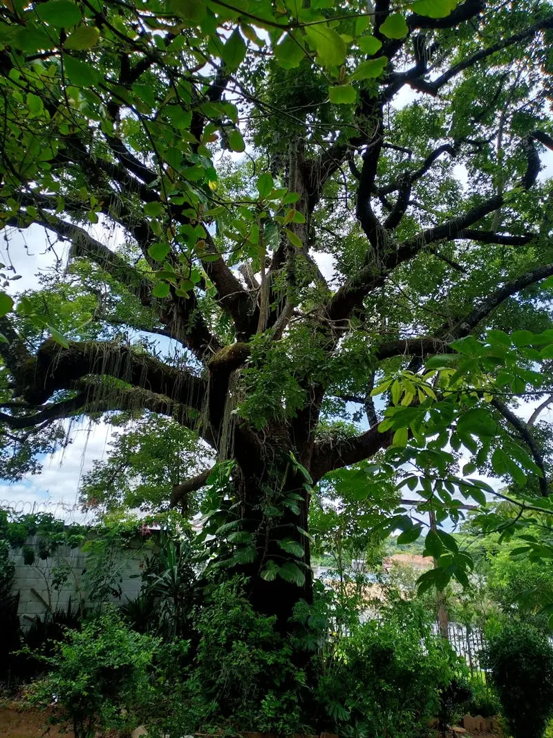 Roof repair in Jacksonville